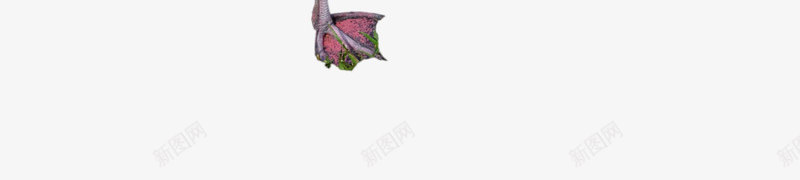 火烈鸟png免抠素材_新图网 https://ixintu.com 动物 火烈鸟 火焰鸟 红色 鸟
