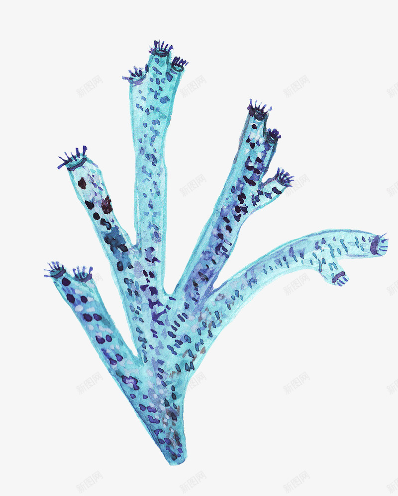 蓝色海草水彩风png免抠素材_新图网 https://ixintu.com 植物 水彩风 海洋 海草 海葵图片 涂鸦