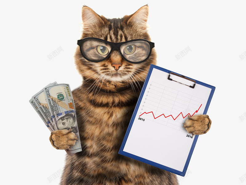 炒股的猫png免抠素材_新图网 https://ixintu.com 宠物 小猫 戴眼镜的猫咪 猫咪 美元 萌宠 钞票 钱