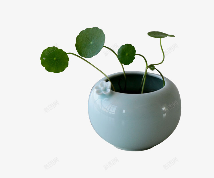绿色植株盆栽png免抠素材_新图网 https://ixintu.com 插画器皿 植株 盆栽 花瓶 陶瓷 青瓷