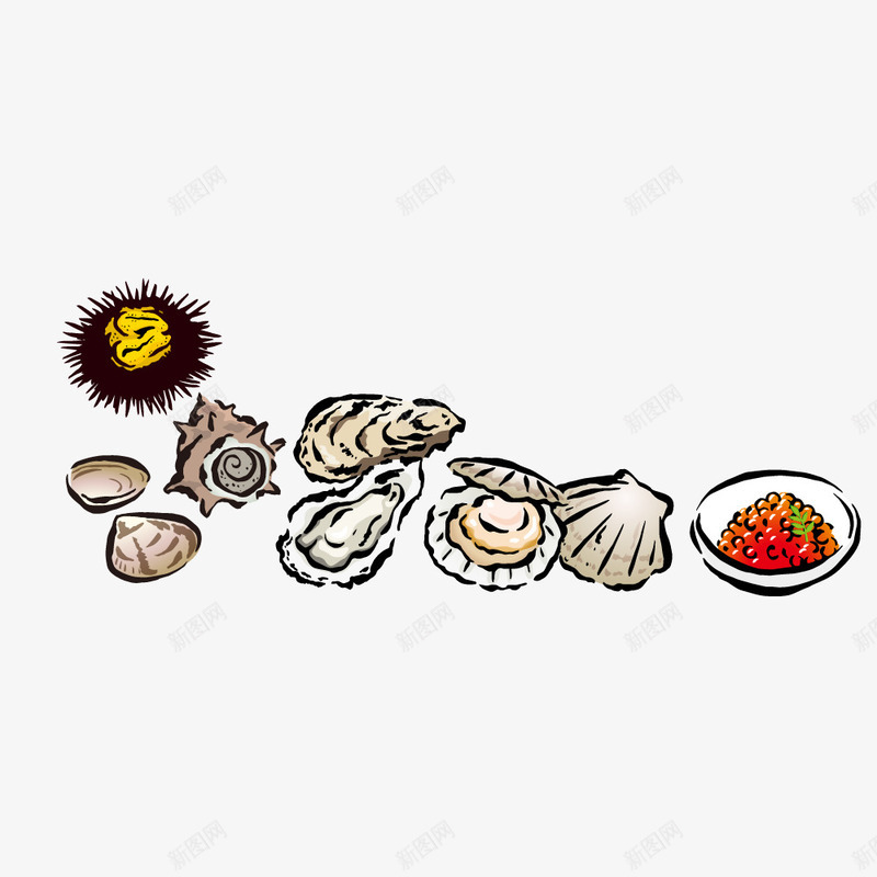 水彩贝壳手绘简图png免抠素材_新图网 https://ixintu.com 大海 扇贝 手绘图 水彩 沙滩 海螺 简图 贝壳
