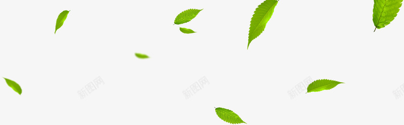 叶子绿叶绿色淘宝漂png免抠素材_新图网 https://ixintu.com 叶子绿叶绿色淘宝漂浮