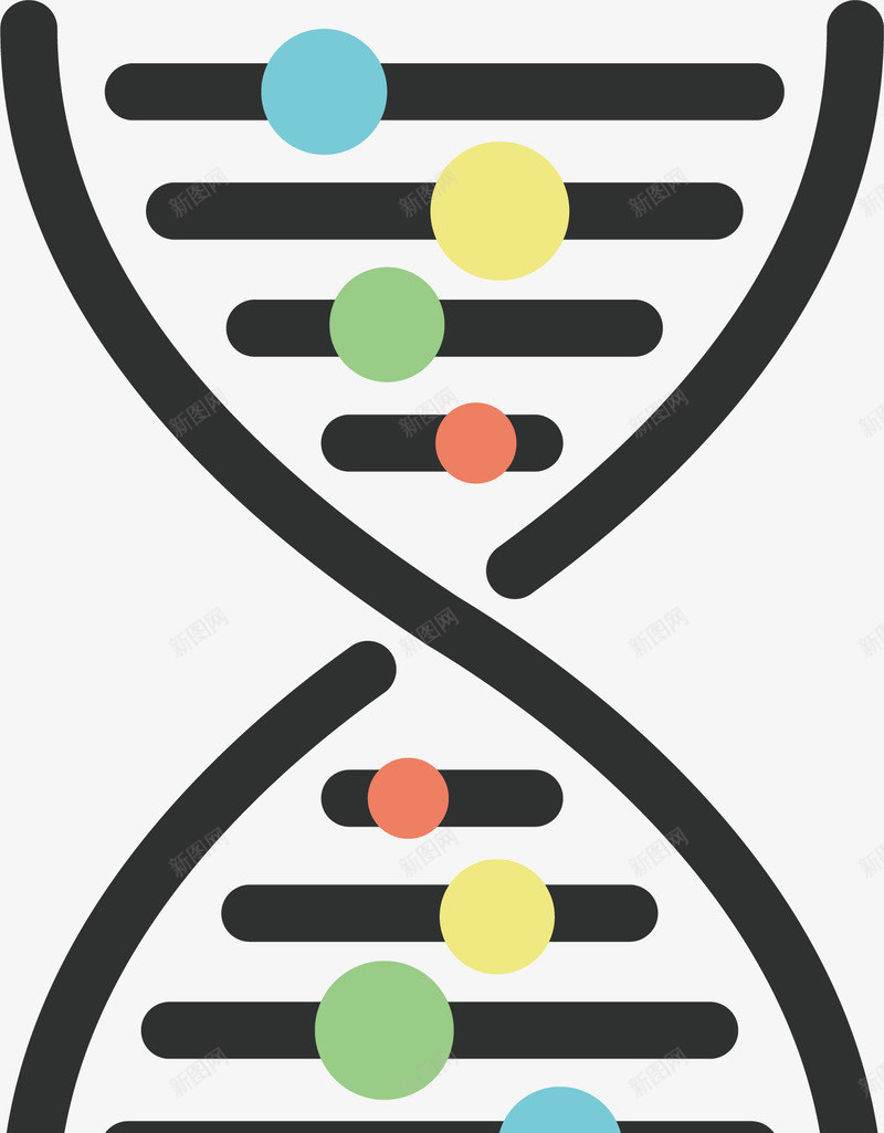 染色体元素矢量图ai免抠素材_新图网 https://ixintu.com png 元素 医药 卡通 染色体 生物医药 矢量图