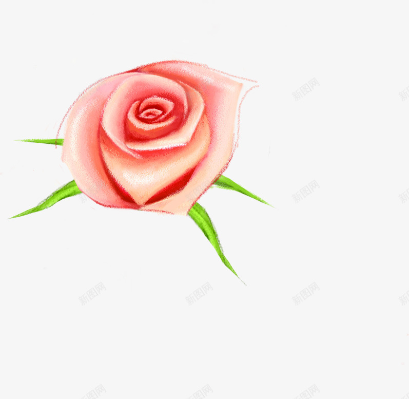 手绘粉色淡雅玫瑰花朵png免抠素材_新图网 https://ixintu.com 淡雅 玫瑰 粉色 花朵