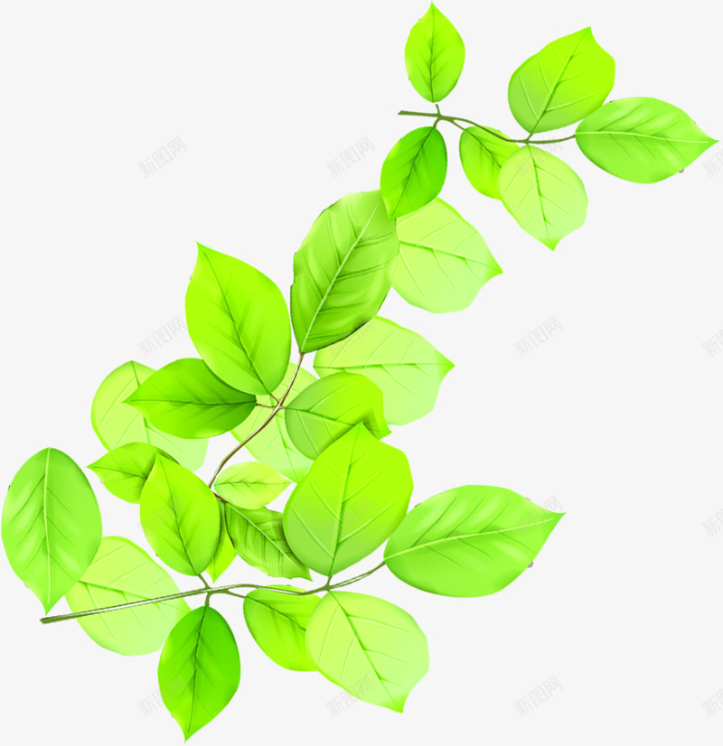 春季清新环保绿叶植物png免抠素材_新图网 https://ixintu.com 春季 植物 清新 环保 绿叶