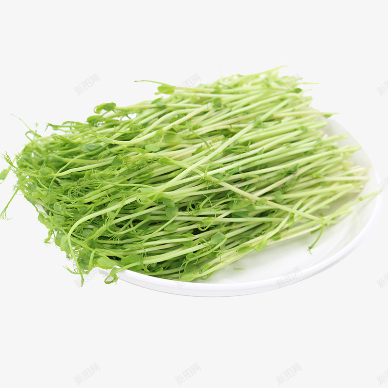 豆苗好看png免抠素材_新图网 https://ixintu.com 可以吃 很多 绿色 绿色豆苗 豆苗