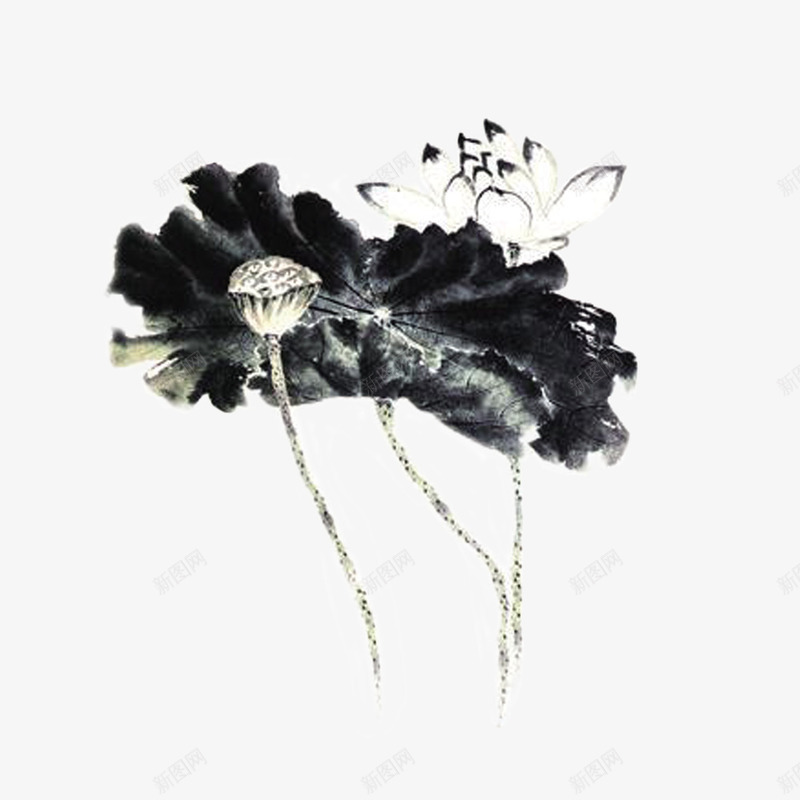 水墨画荷花png免抠素材_新图网 https://ixintu.com 中国风 手绘 手绘藕 水墨画 线描 荷叶 荷花 莲蓬 莲藕