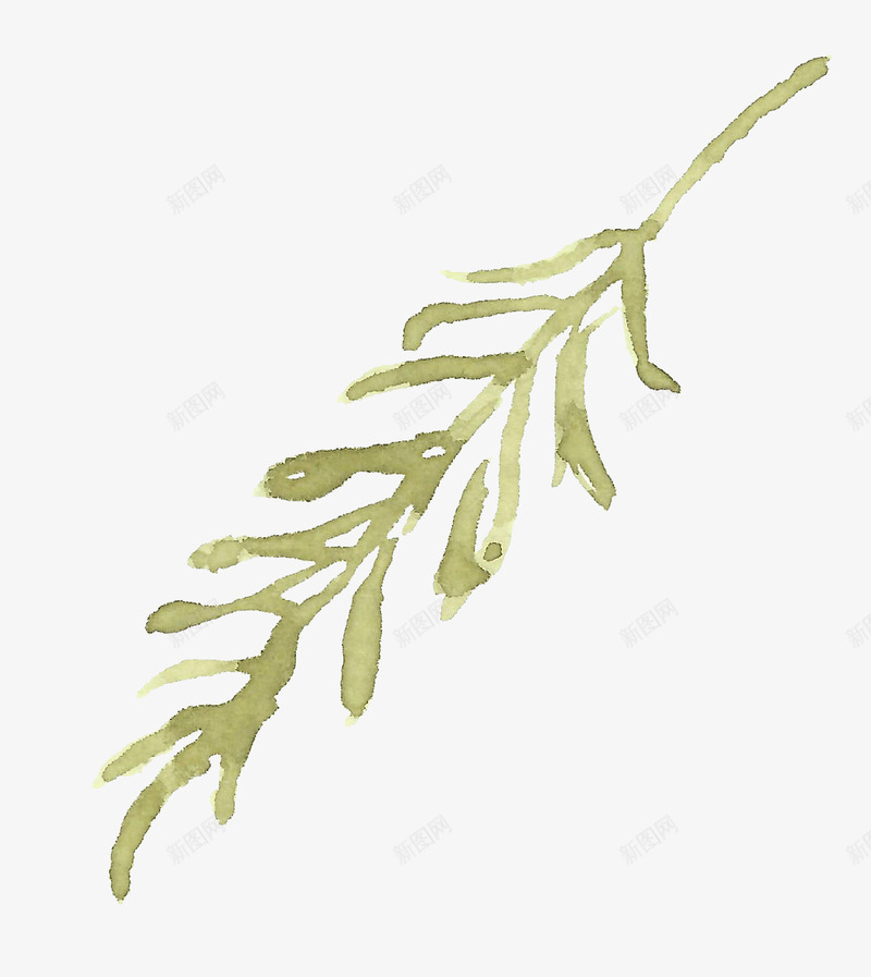手绘水彩淡雅绿色枝干png免抠素材_新图网 https://ixintu.com 手绘 枝干 水彩 淡雅 绿色