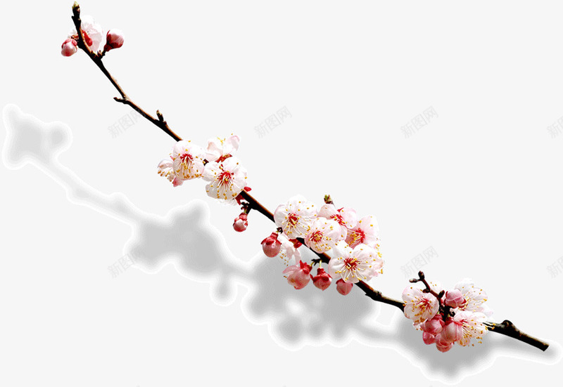 一枝桃花png免抠素材_新图网 https://ixintu.com 一枝 春天 桃花 花朵