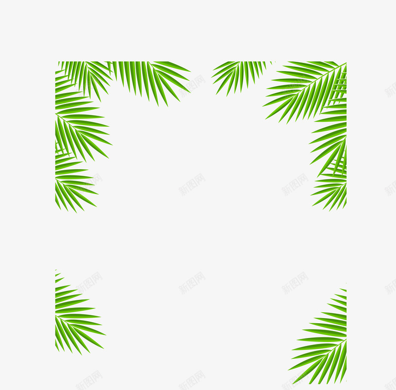 夏日叶子边框纹理png免抠素材_新图网 https://ixintu.com 免抠PNG 卡通边框 夏季 树叶 椰子叶 海边装饰 绿叶
