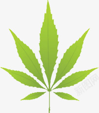 卡通树叶透明背景png免抠素材_新图网 https://ixintu.com 免扣 卡通 树叶 透明背景