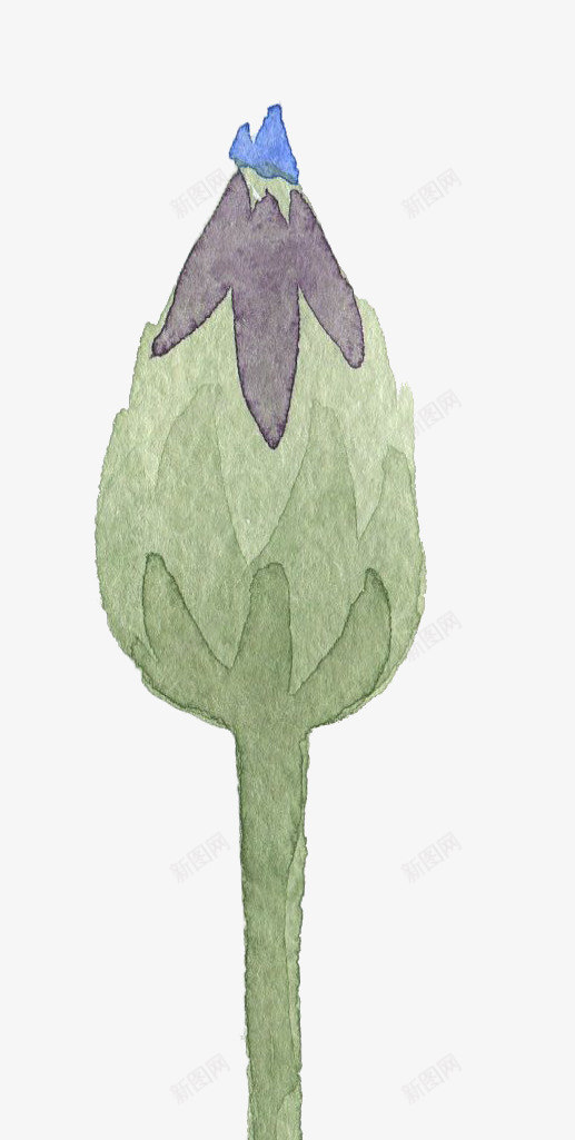 水彩手绘花苞png免抠素材_新图网 https://ixintu.com 卡片装饰 小清新 庆典花卉 彩绘 手绘 水彩 淡雅 花草 花草素材 贺卡装饰