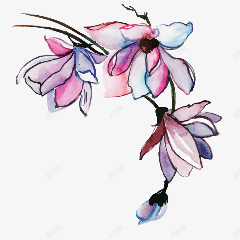 中国风水彩栀子花卡通手绘png免抠素材_新图网 https://ixintu.com 卡通手绘 唯美 文艺 栀子花 植物 艺术照 花朵