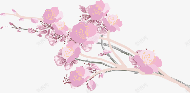 水墨樱花png免抠素材_新图网 https://ixintu.com 彩绘 树枝 樱花 樱花枝 粉色