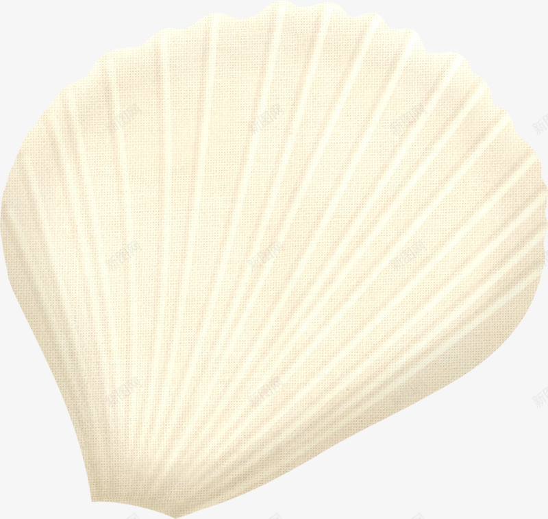 白色贝壳png免抠素材_新图网 https://ixintu.com 卡通 漂亮 白色 贝壳