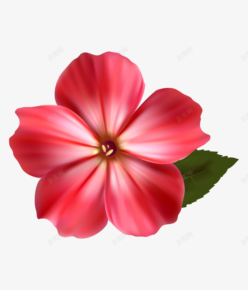 手绘红色五瓣花花朵png免抠素材_新图网 https://ixintu.com 五瓣花花朵 包装设计 小清新包装 花朵 花朵装饰 花瓣装饰 花草设计 贺卡设计