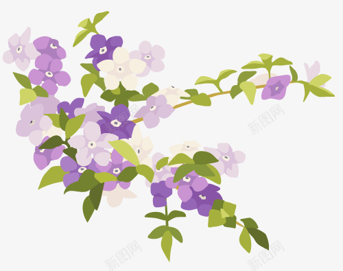 清新淡雅花朵绽放紫色白色粉色png免抠素材_新图网 https://ixintu.com 淡雅 清新 白色 粉色 紫色 绽放 花朵