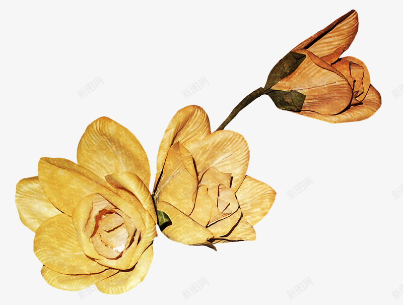 枯萎的花瓣png免抠素材_新图网 https://ixintu.com 枯萎的 花瓣 装饰 黄色