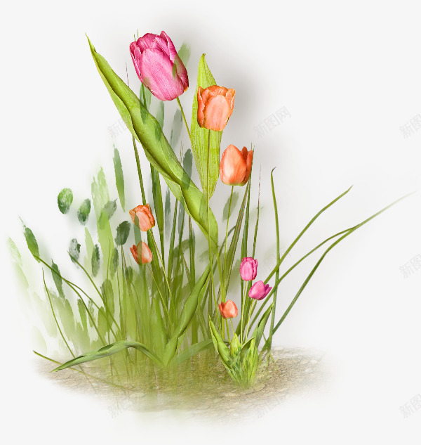 卡通花朵红花绿草png免抠素材_新图网 https://ixintu.com 卡通 红花 绿草 花朵