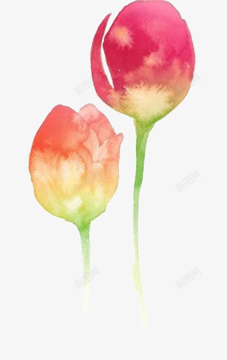 梦幻浅色两朵花png免抠素材_新图网 https://ixintu.com 梦幻 浅色 花朵 装饰