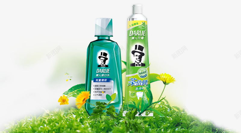 黑人茶倍健与漱口水png免抠素材_新图网 https://ixintu.com 产品实物 草地 黄花 黑人漱口水 黑人牙膏 黑人茶倍健