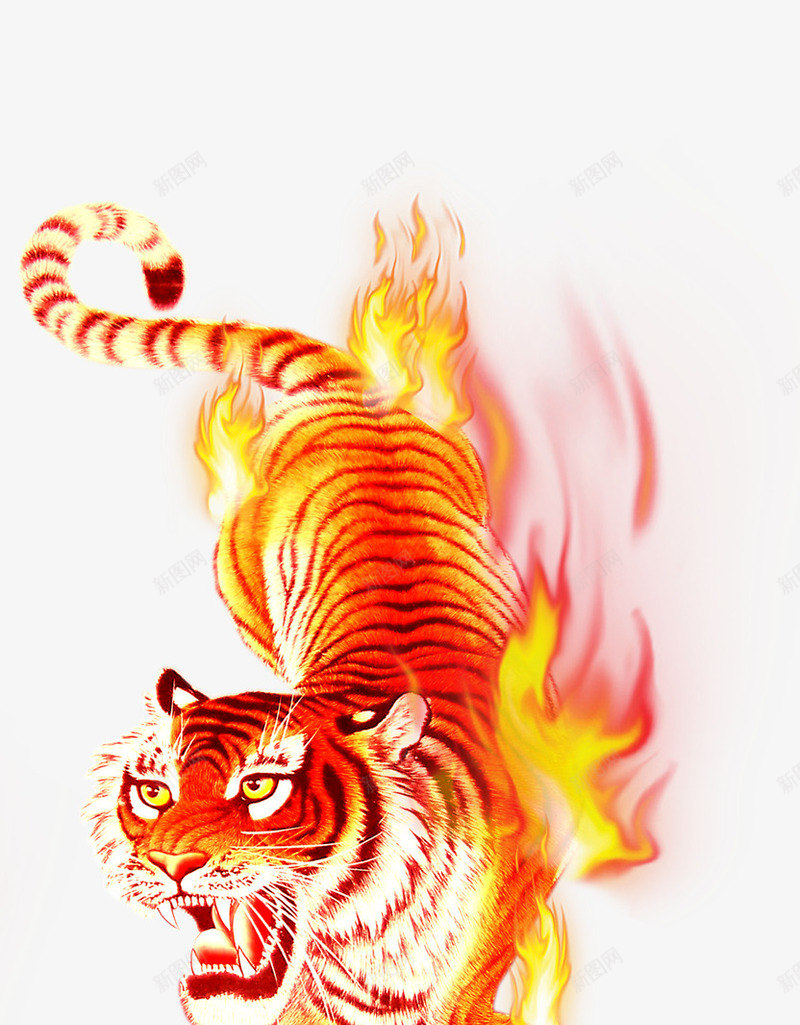 燃烧的老虎png免抠素材_新图网 https://ixintu.com 燃烧 老虎 老虎图腾 霸气老虎