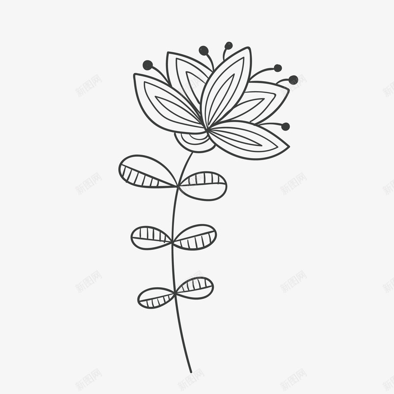 叶子花朵黑白png免抠素材_新图网 https://ixintu.com 创意 复古花卉 富贵 手绘 手绘花卉 树叶 花卉装饰 草本花 设计 黑白 黑白线条花