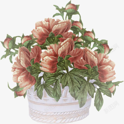 古典怀旧红花花篮png免抠素材_新图网 https://ixintu.com png 古典 怀旧 红花 花篮 装饰