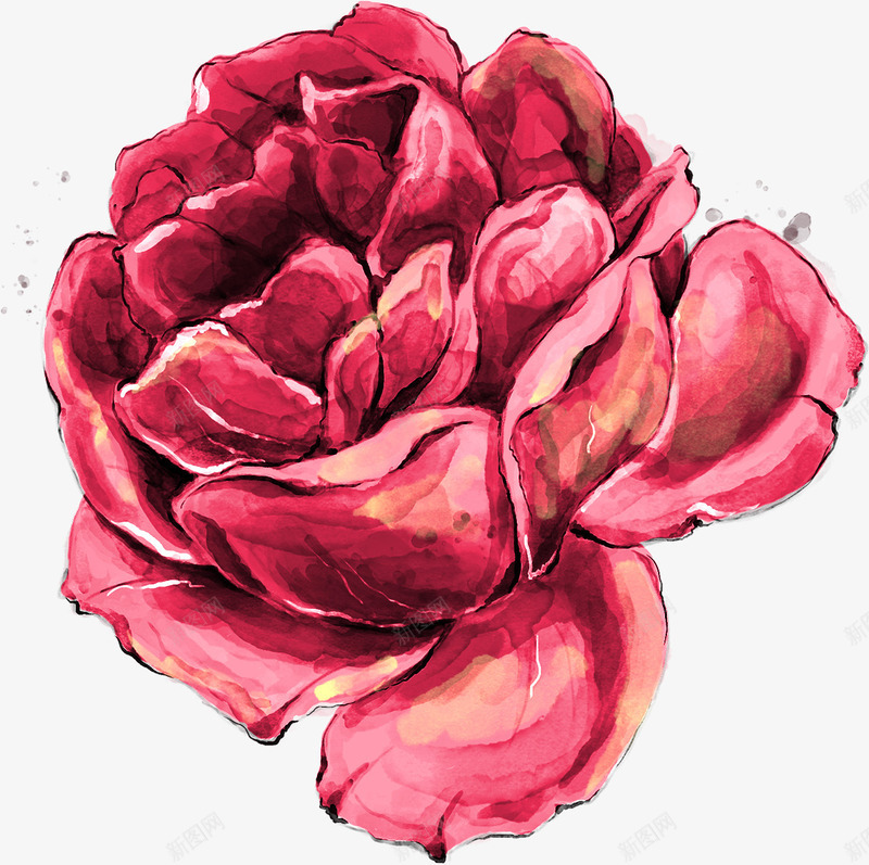 水彩红色月季花朵png免抠素材_新图网 https://ixintu.com 一朵红花 手绘红色花朵 月季 月季花 水彩花朵 红花