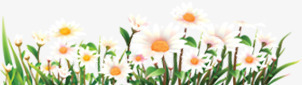草地美景花朵春季png免抠素材_新图网 https://ixintu.com 春季 美景 花朵 草地
