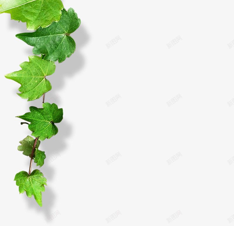 黄色向日葵花朵美景手绘png免抠素材_新图网 https://ixintu.com 向日葵 美景 花朵 黄色