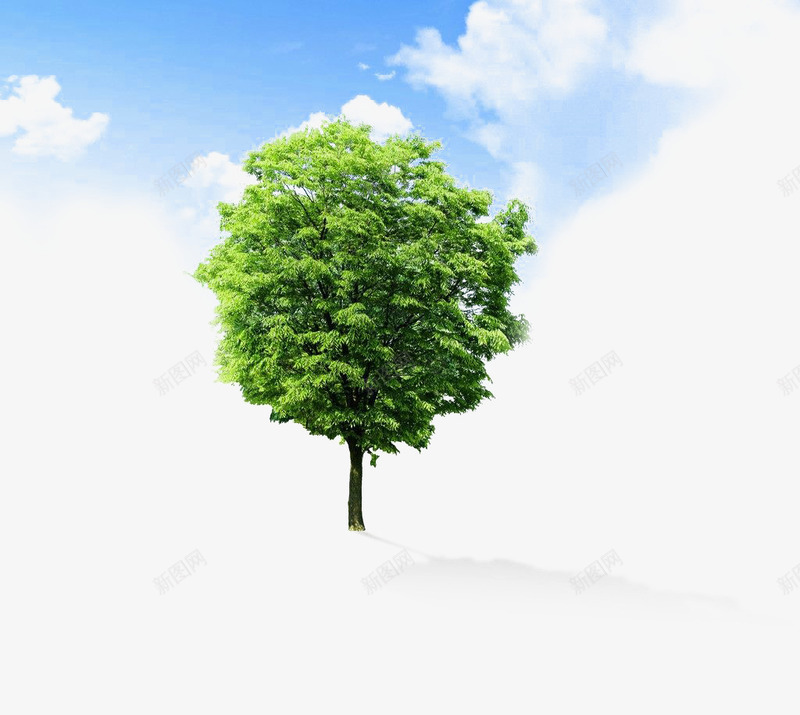 蓝天下的菩提树png免抠素材_新图网 https://ixintu.com 大树 天空 植物 白云 菩提树 蓝天