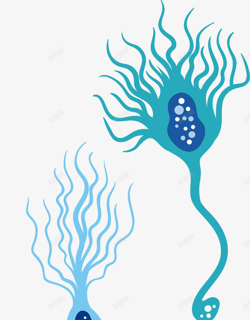 蓝色可爱神经细胞png免抠素材_新图网 https://ixintu.com 人体 医学细胞 可爱 生物 研究