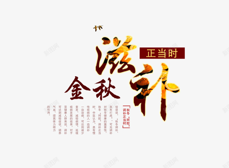 金秋滋补排版psd免抠素材_新图网 https://ixintu.com 海报 版式 设计 金秋滋补排版