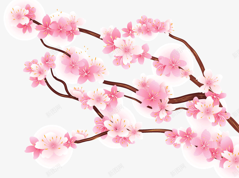 怒放樱花枝png免抠素材_新图网 https://ixintu.com 樱花 樱花枝 花卉