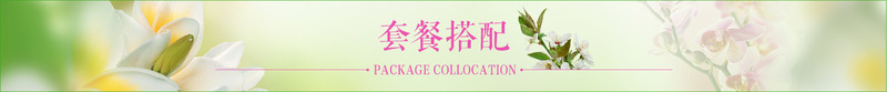 淡雅花卉背景png免抠素材_新图网 https://ixintu.com 淡雅背景 淡雅花卉 花