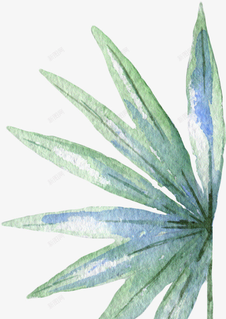 彩绘芭蕉叶png免抠素材_新图网 https://ixintu.com 叶子 唯美 平面 彩绘 手绘 树叶 绿色 芭蕉叶