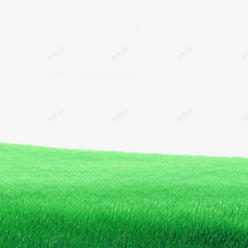 绿色梦幻草地边框纹理png免抠素材_新图网 https://ixintu.com 免抠PNG 梦幻 绿色 草地 边框纹理