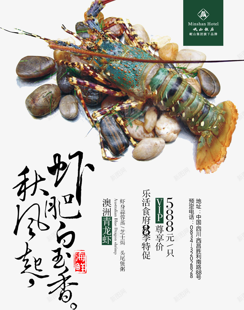 酒店清新澳洲青龙虾宣传海报psd_新图网 https://ixintu.com 四圣兽 海鲜宣传海报 海鲜海报 澳洲龙虾 酒店海报设计 酒店清新食材海报设计 青龙虾 龙虾宣传海报