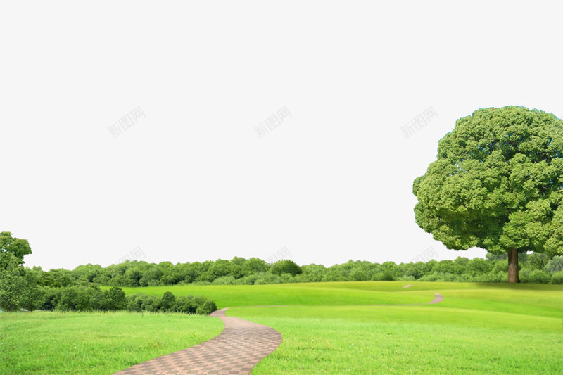 大自然的背景png免抠素材_新图网 https://ixintu.com 大自然 树 背景 草 草地