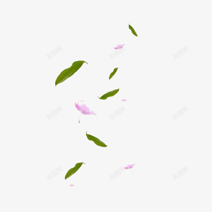 叶子和桃花漂浮png免抠素材_新图网 https://ixintu.com 漂浮 素材 绿叶 飞舞