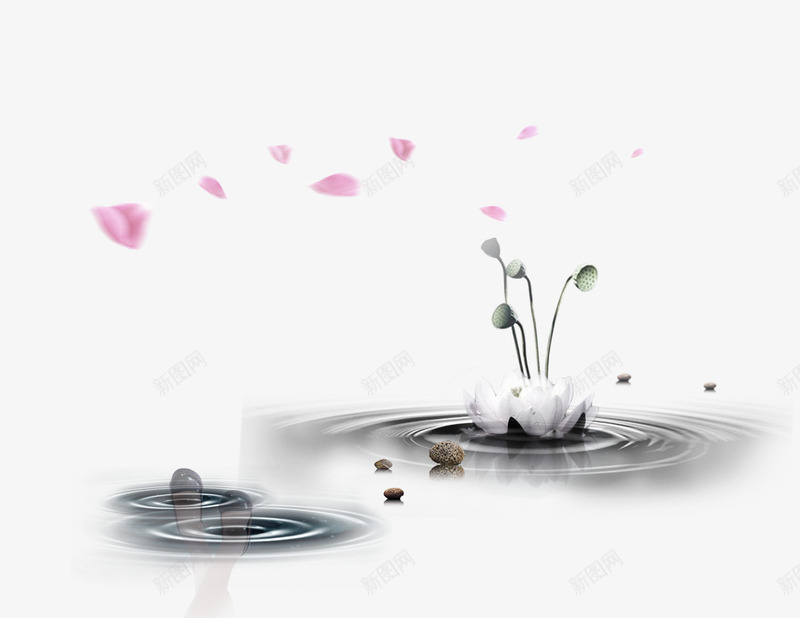 水墨荷花psd免抠素材_新图网 https://ixintu.com 墨迹 彩色 残荷图片 水墨画 海报 荷花 荷花与诗 装饰