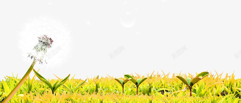 绿色草坪边框纹理png免抠素材_新图网 https://ixintu.com 免抠PNG 发芽 绿色 草地 草坪 蒲公英 边框纹理