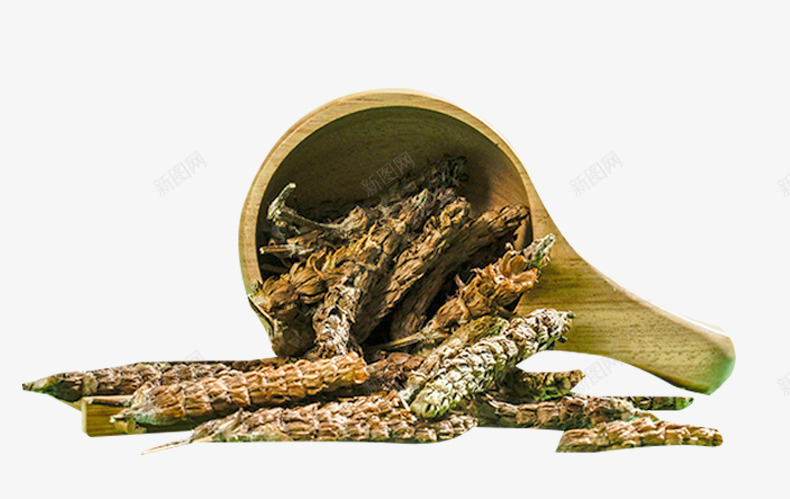 天然夏枯草png免抠素材_新图网 https://ixintu.com 夏枯草 天然中药材 消火凉茶 野生药材