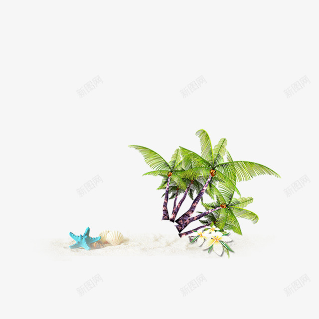 海滩防晒贝壳psd免抠素材_新图网 https://ixintu.com 海滩 贝壳 防晒