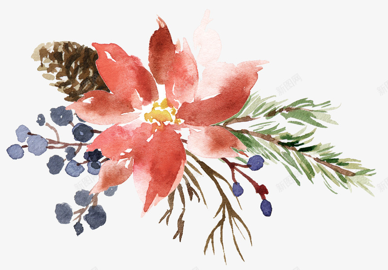 红色花朵的装饰水彩花朵png免抠素材_新图网 https://ixintu.com 手绘 松子 松果 植物 水彩 紫色果子 红花 花卉 装饰