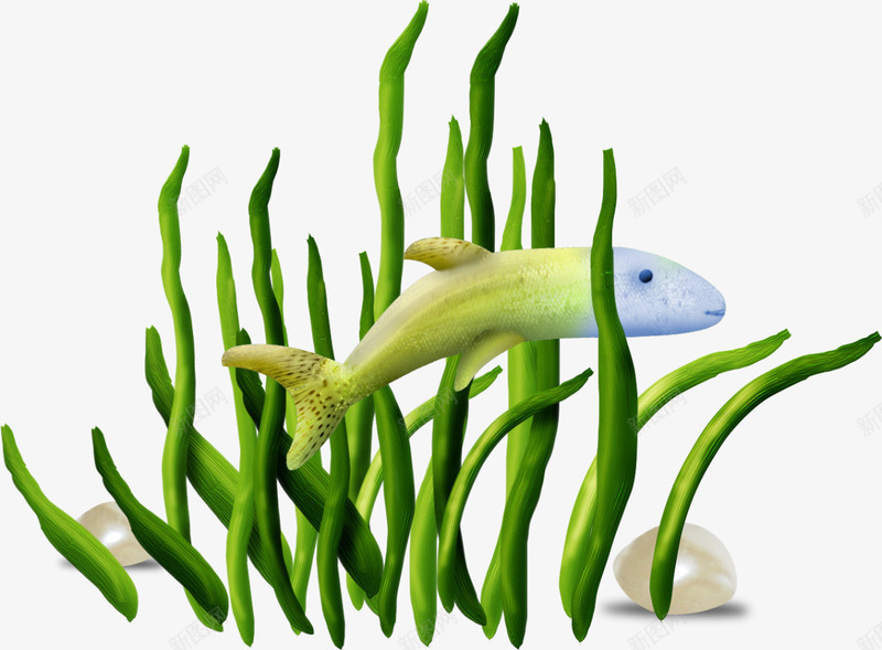 水草png免抠素材_新图网 https://ixintu.com 水底生物 水草 热带鱼 草 鱼类