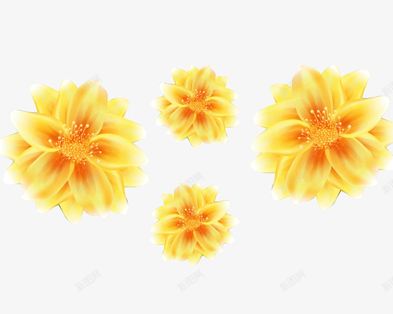精致手绘花朵png免抠素材_新图网 https://ixintu.com 精致手绘花朵 装饰图案 黄花