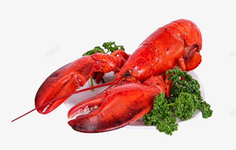 美食小龙虾png免抠素材_新图网 https://ixintu.com 大虾 小龙虾 海鲜 盘子 红色 美食 西兰花