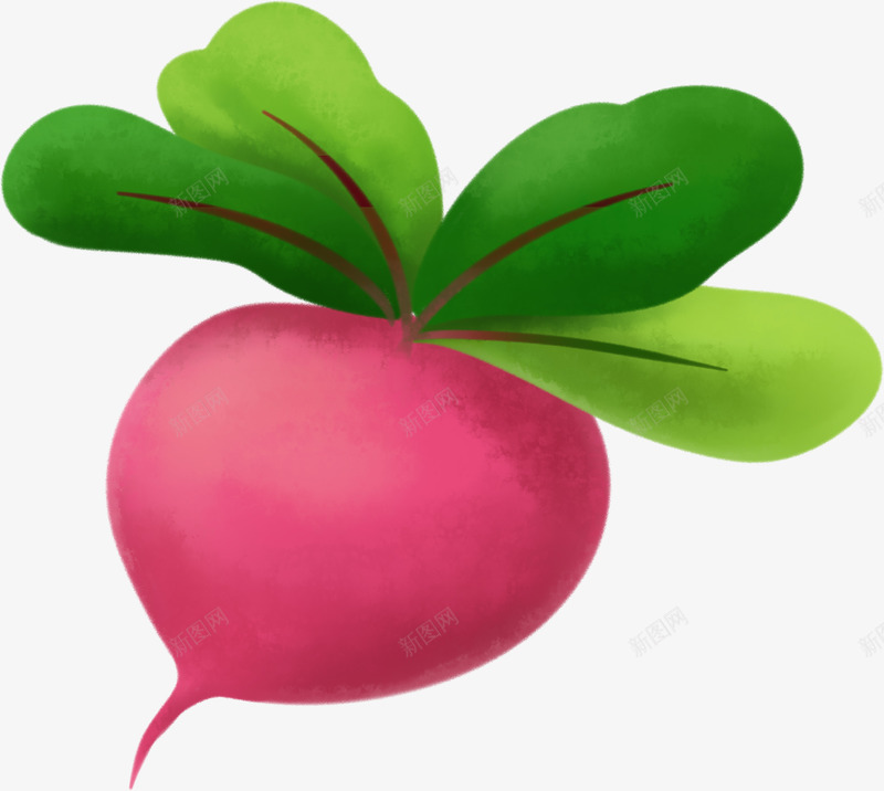 手绘卡通红萝卜植物png免抠素材_新图网 https://ixintu.com 卡通 手绘 植物 红萝卜